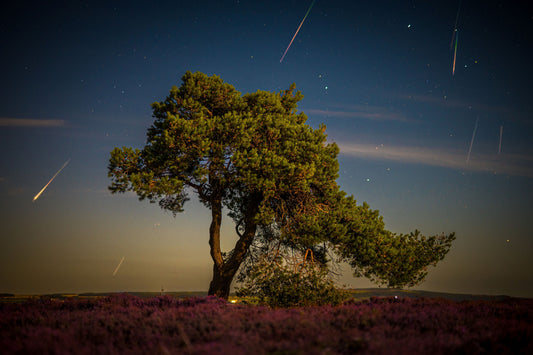 PERSEID METEORS ABOVE THE NORTH YORK MOORS!