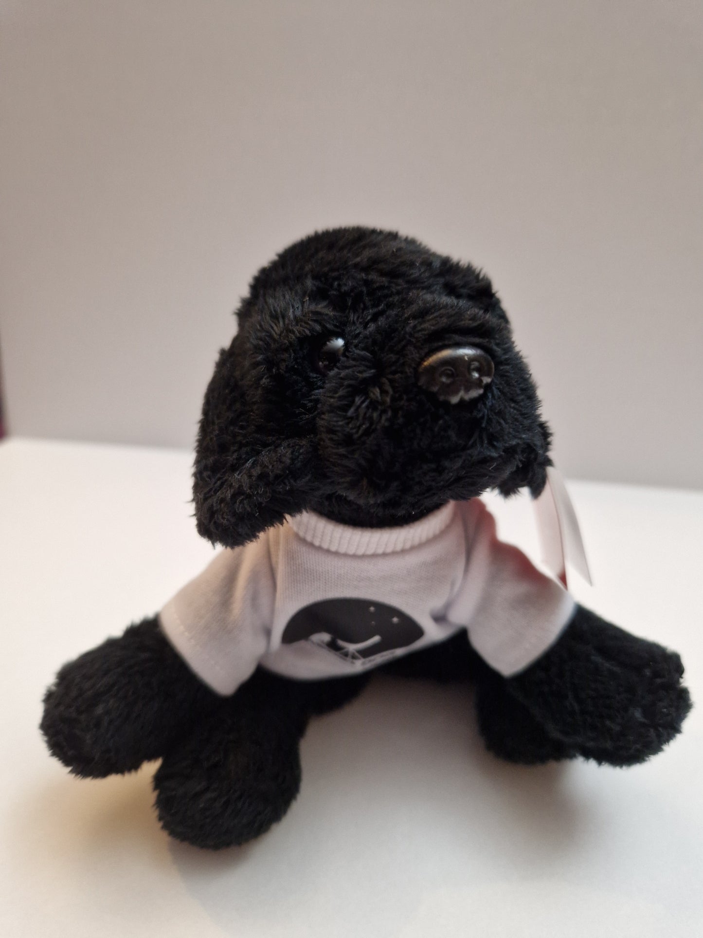 Luna the Astro Dog Soft Toy