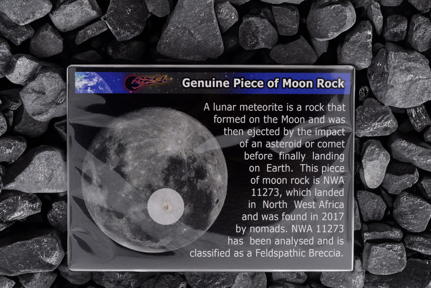 Lunar Meteorite Display Card | NWA 11273 | Genuine Moon Rock
