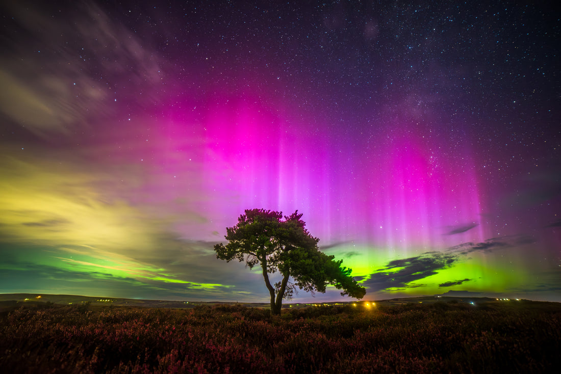 ASTRO DOGS CELESTIAL ADVENTURES - THE PERSEIDS, AN AMAZING AURORA DISPLAY AND A THUNDERSTORM!