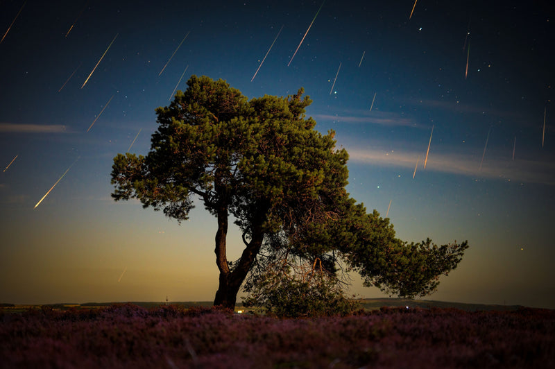 Perseid meteor shower captured with a Nikon Z6II, 50mm lens, stacked exposure