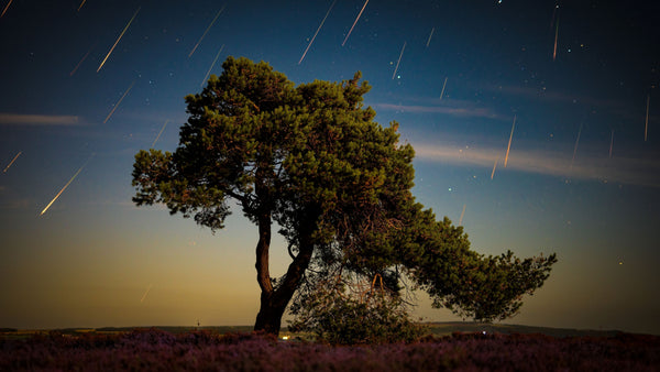 Perseid meteor shower captured with a Nikon Z6II, 50mm lens, stacked exposure