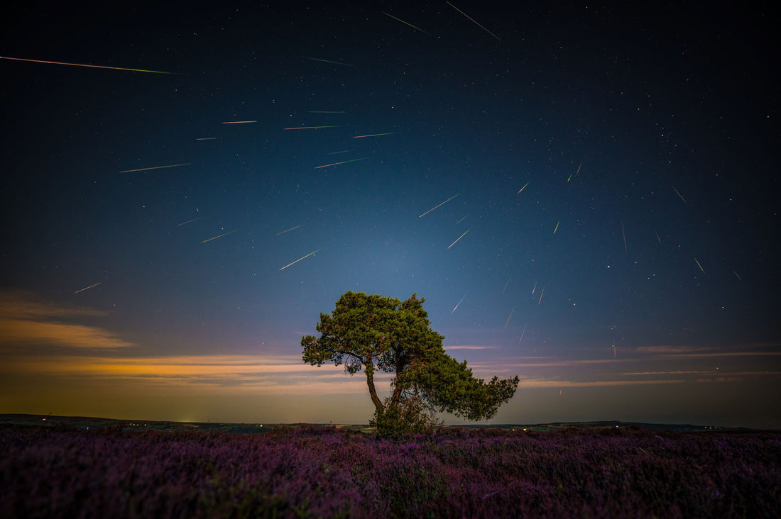 Perseid meteor streaking across the night sky