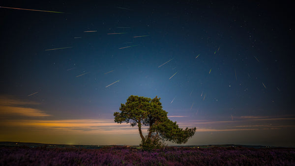 Perseid meteor streaking across the night sky