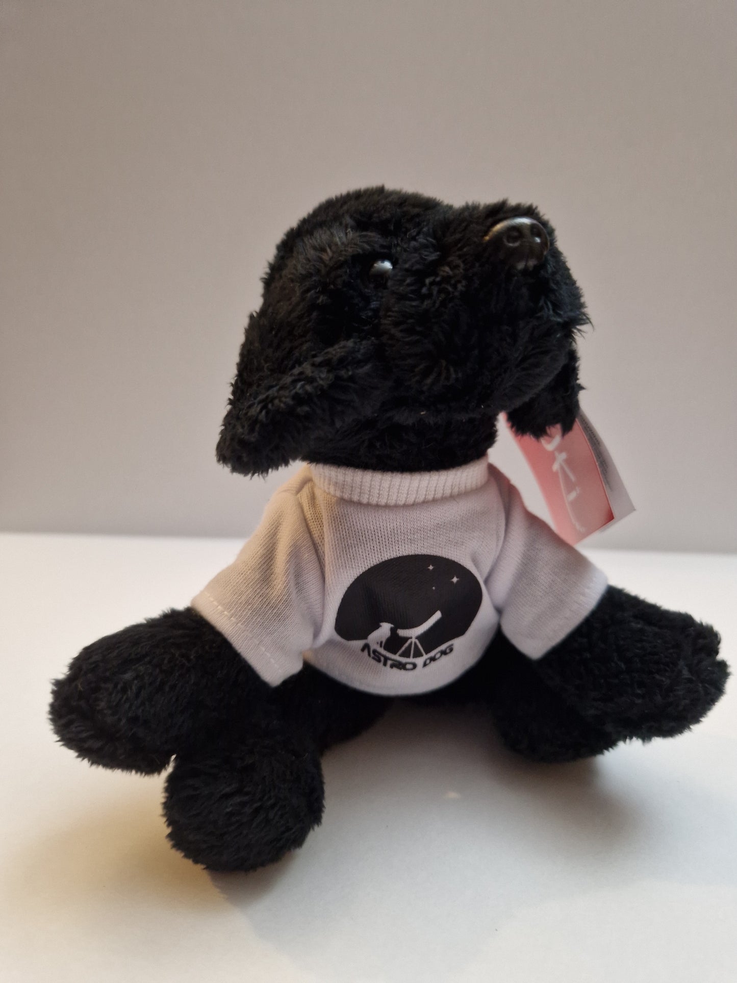Luna the Astro Dog Soft Toy