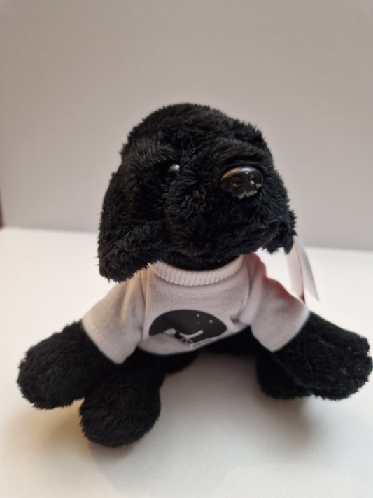 Luna the Astro Dog Soft Toy