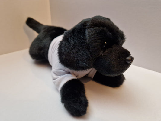 Luna the Astro Dog Large Soft Toy