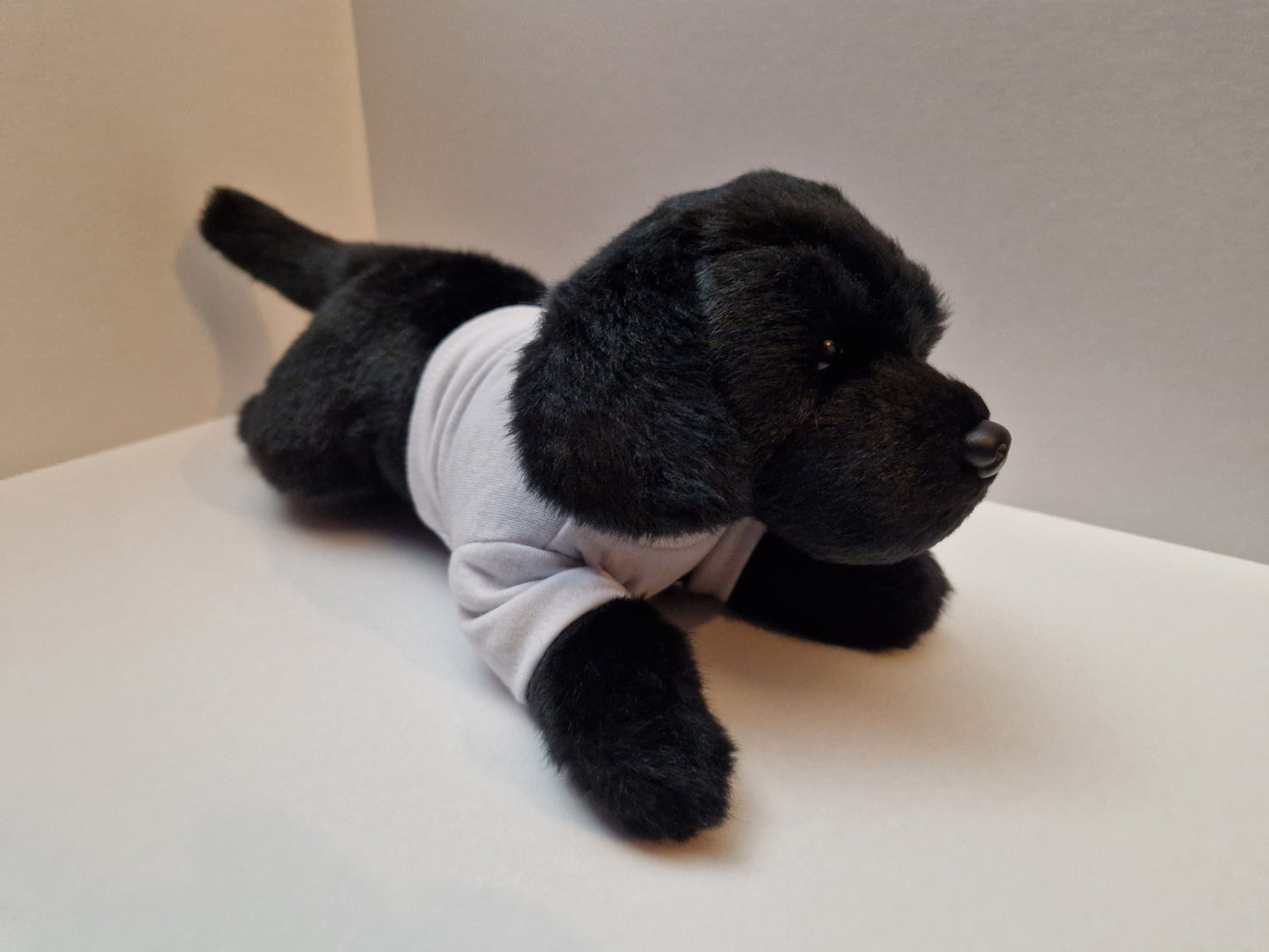 Luna the Astro Dog Large Soft Toy