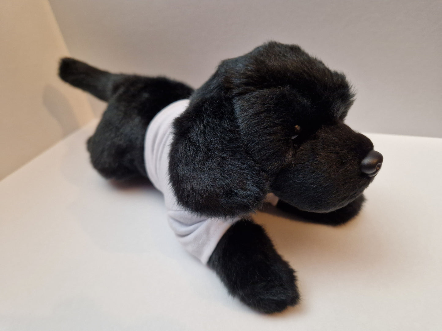 Luna the Astro Dog Large Soft Toy