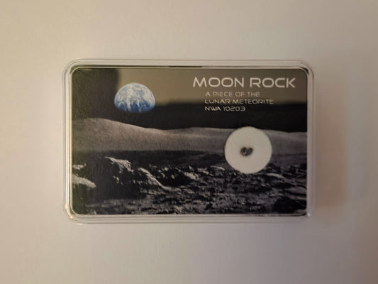 NWA 10203 Lunar Meteorite Fragment | Genuine Moon Rock