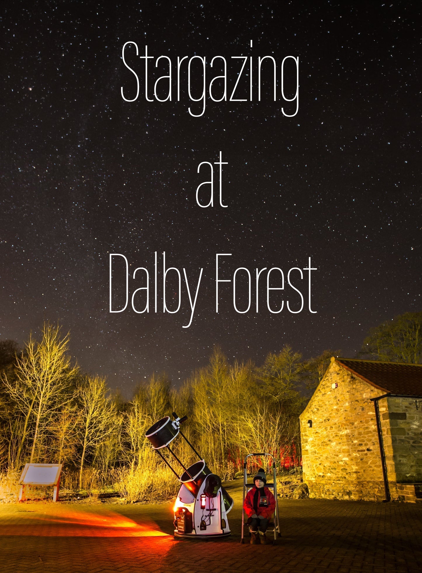 Late Night Stargazing in Dalby Forest - Friday 28th August 2026 - 10:00pm