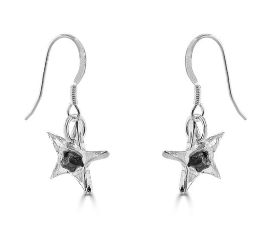 Campo Del Cielo Star Earrings | 925 Sterling Silver | Genuine Iron Meteorite