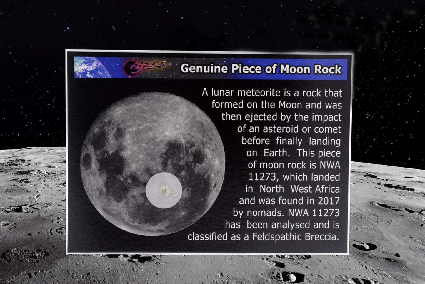 Lunar Meteorite Display Card | NWA 11273 | Genuine Moon Rock