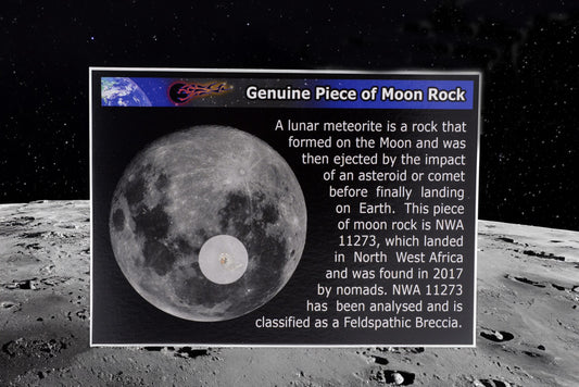 Lunar Meteorite Display Card | NWA 11273 | Genuine Moon Rock