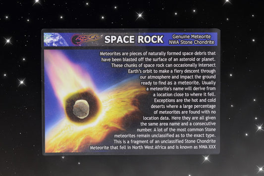 Stone Meteorite Display Card | NWA Chondrite Specimen | Genuine Space Rock